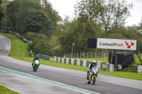 Lower Group Yellow Bikes